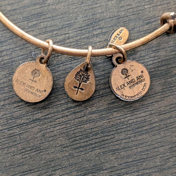 Alex and Ani Bronze Pineapple Charm Bracelet - Picture 3 of 4